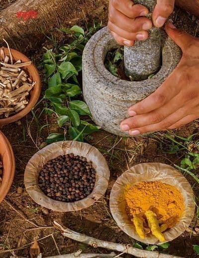 Traditional Ayurvedic Medicine Workshop Since 1924